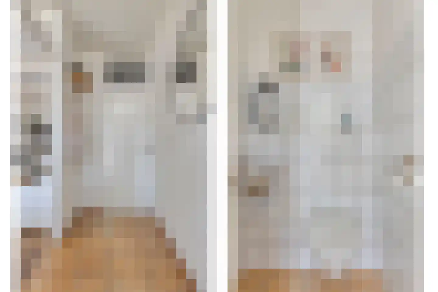 Beukenstraat 151 Goes thumbnail 5