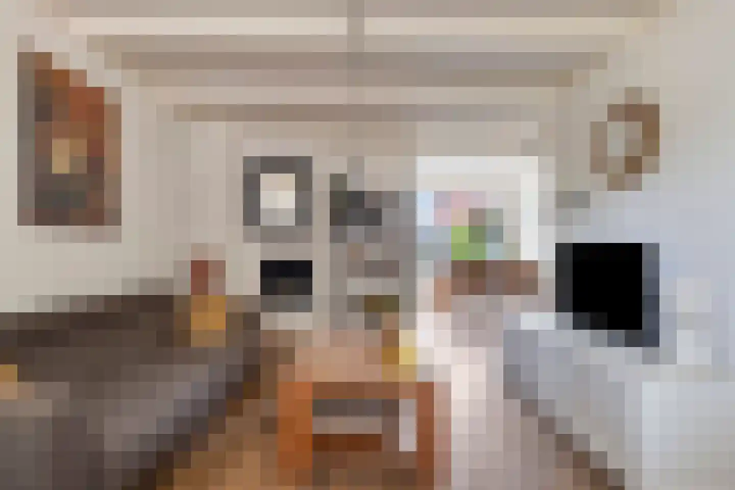 Beukenstraat 151 Goes thumbnail 7