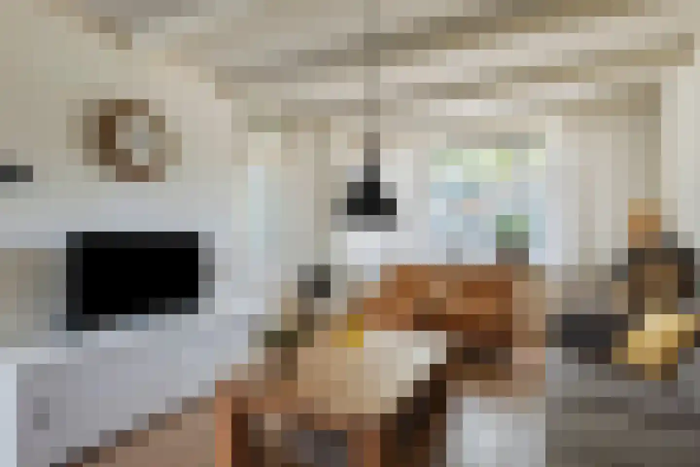 Beukenstraat 151 Goes thumbnail 9
