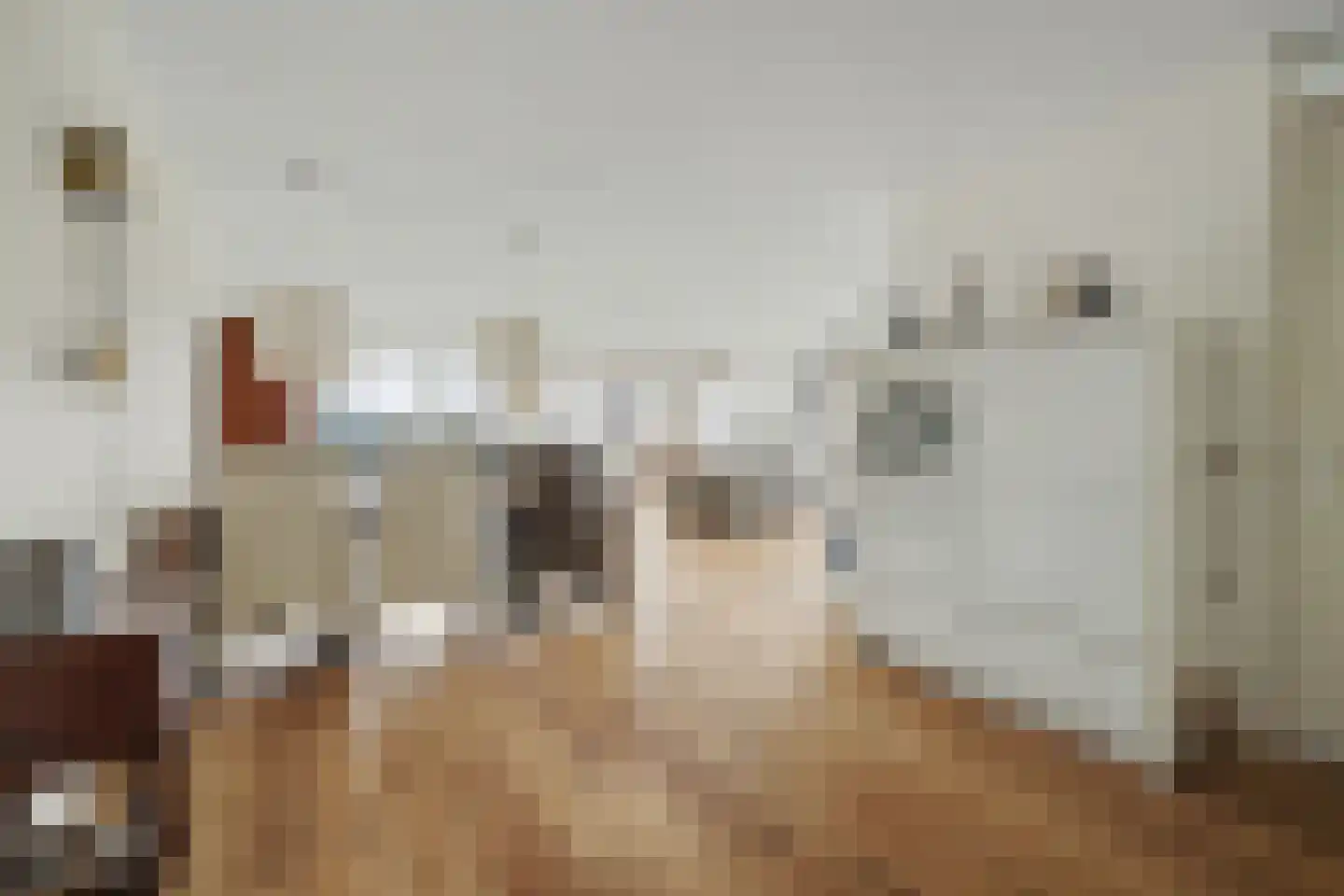 Beukenstraat 2 32 Goes thumbnail 14