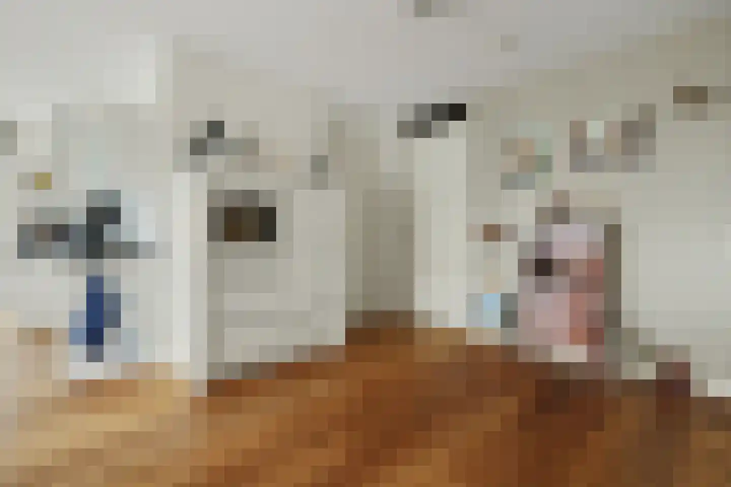 Beukenstraat 2 32 Goes thumbnail 18