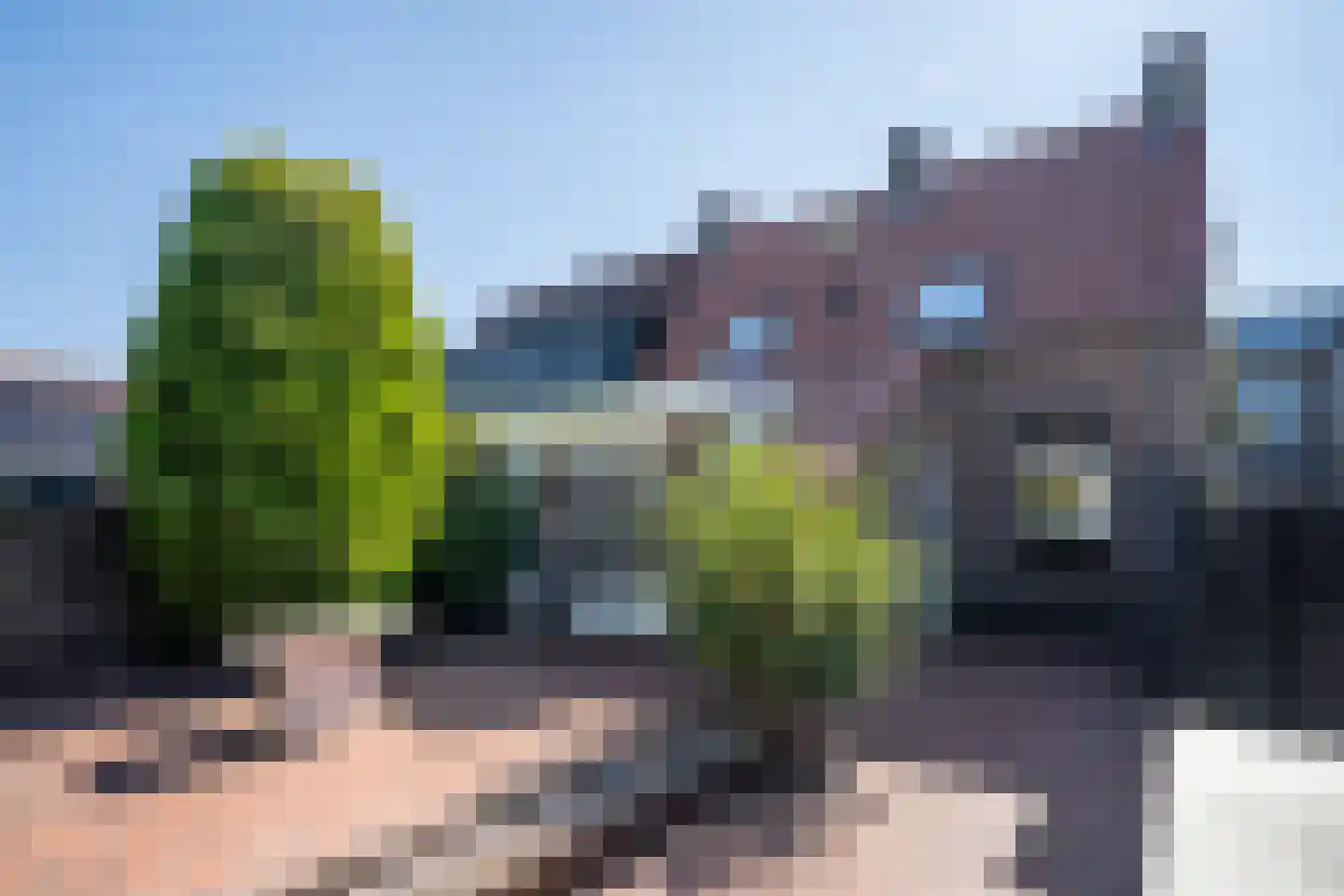Beukenstraat 36 Deurne thumbnail 16