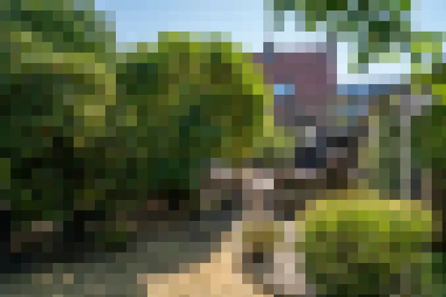 Beukenstraat 36 Deurne thumbnail 23
