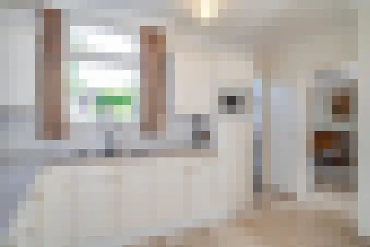 Beukenstraat 36 Deurne thumbnail 7