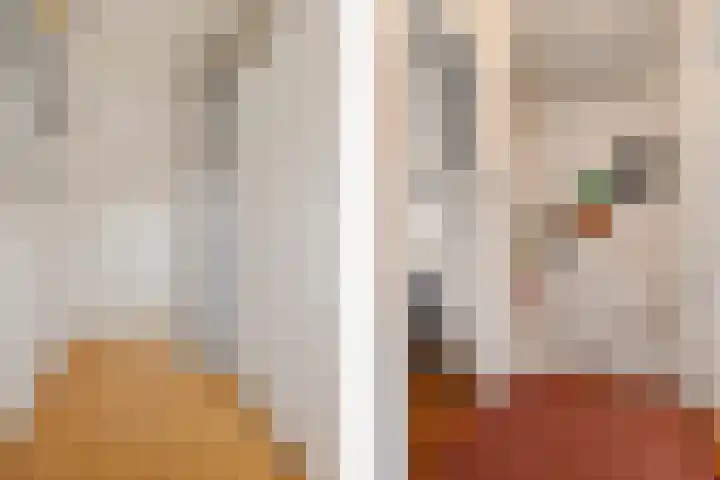 Beukenstraat 6 Dongen thumbnail 30