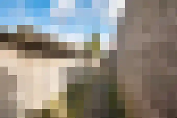 Beukenstraat 6 Dongen thumbnail 32