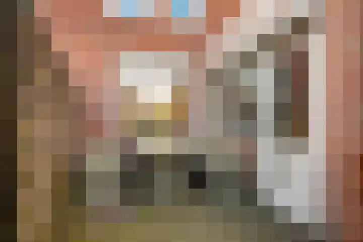 Beukenstraat 6 Dongen thumbnail 34