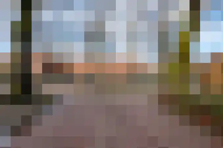 Beukenstraat 6 Dongen thumbnail 5