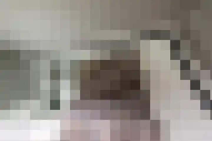 Beukenstraat 6 Gendringen thumbnail 15