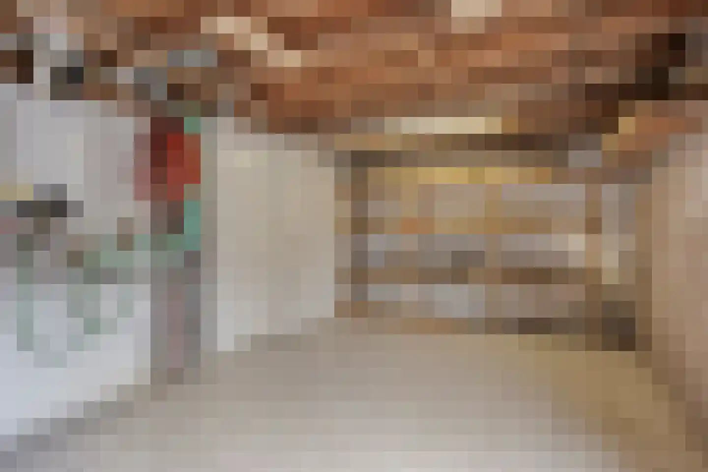 Beukenstraat 60 Tilburg thumbnail 42