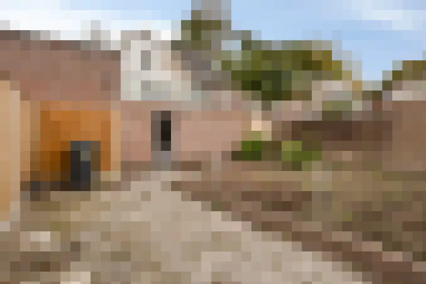 Beukenstraat 60 Tilburg thumbnail 47