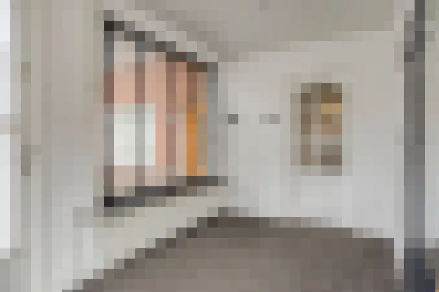 Beukenstraat 60 Tilburg thumbnail 8