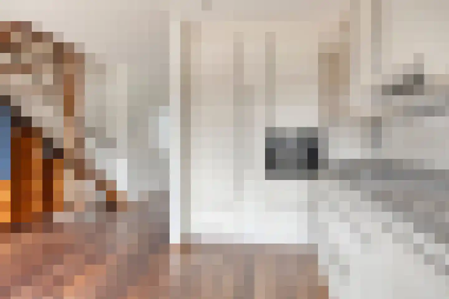 Beukenstraat 69 Goes thumbnail 11