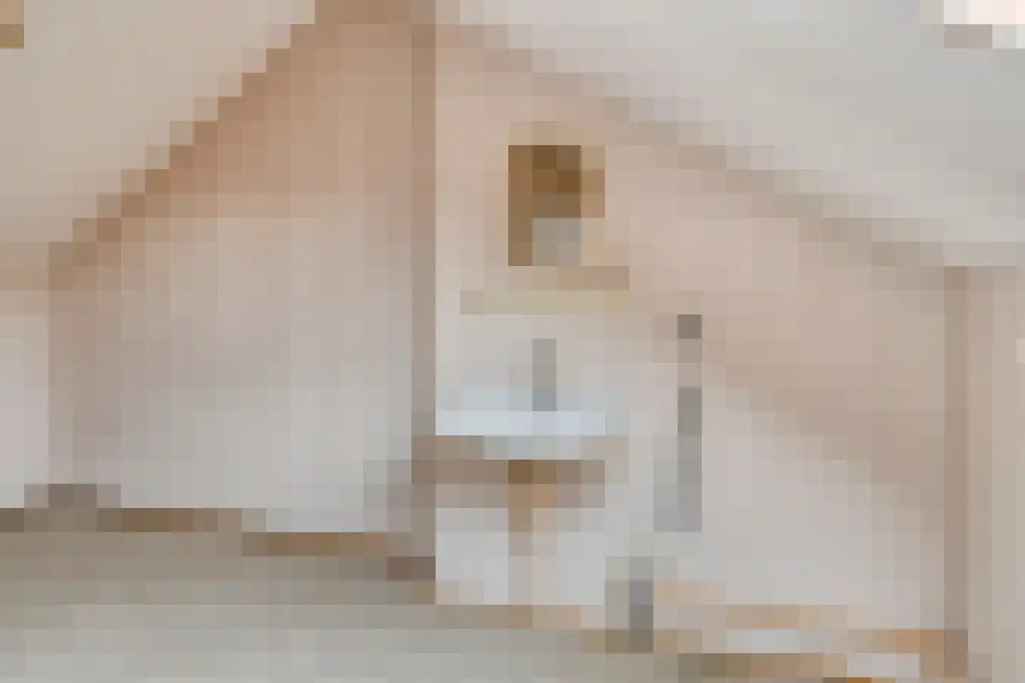 Beukenstraat 69 Goes thumbnail 27