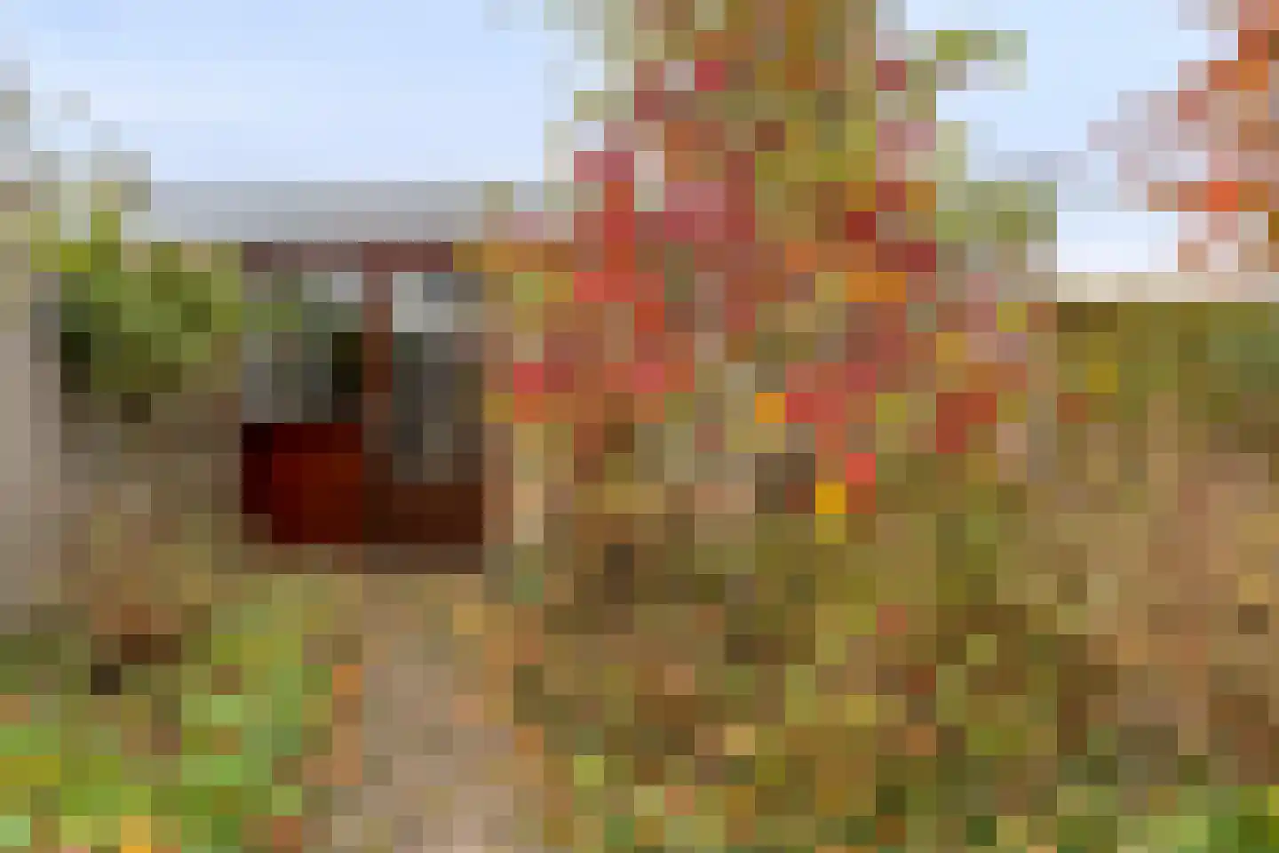 Beukenstraat 69 Goes thumbnail 30