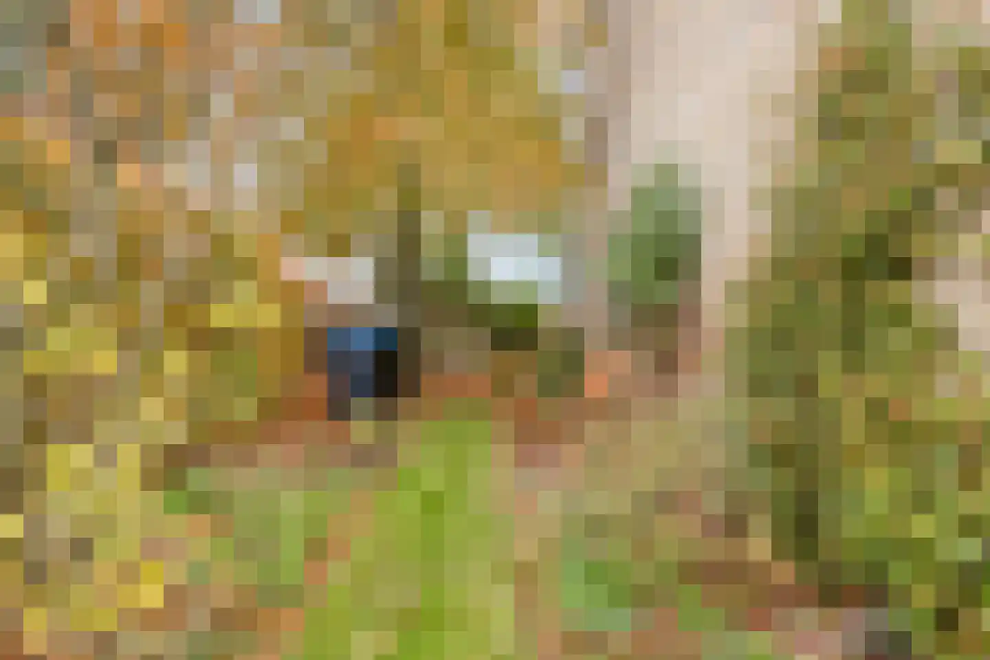 Beukenstraat 69 Goes thumbnail 34