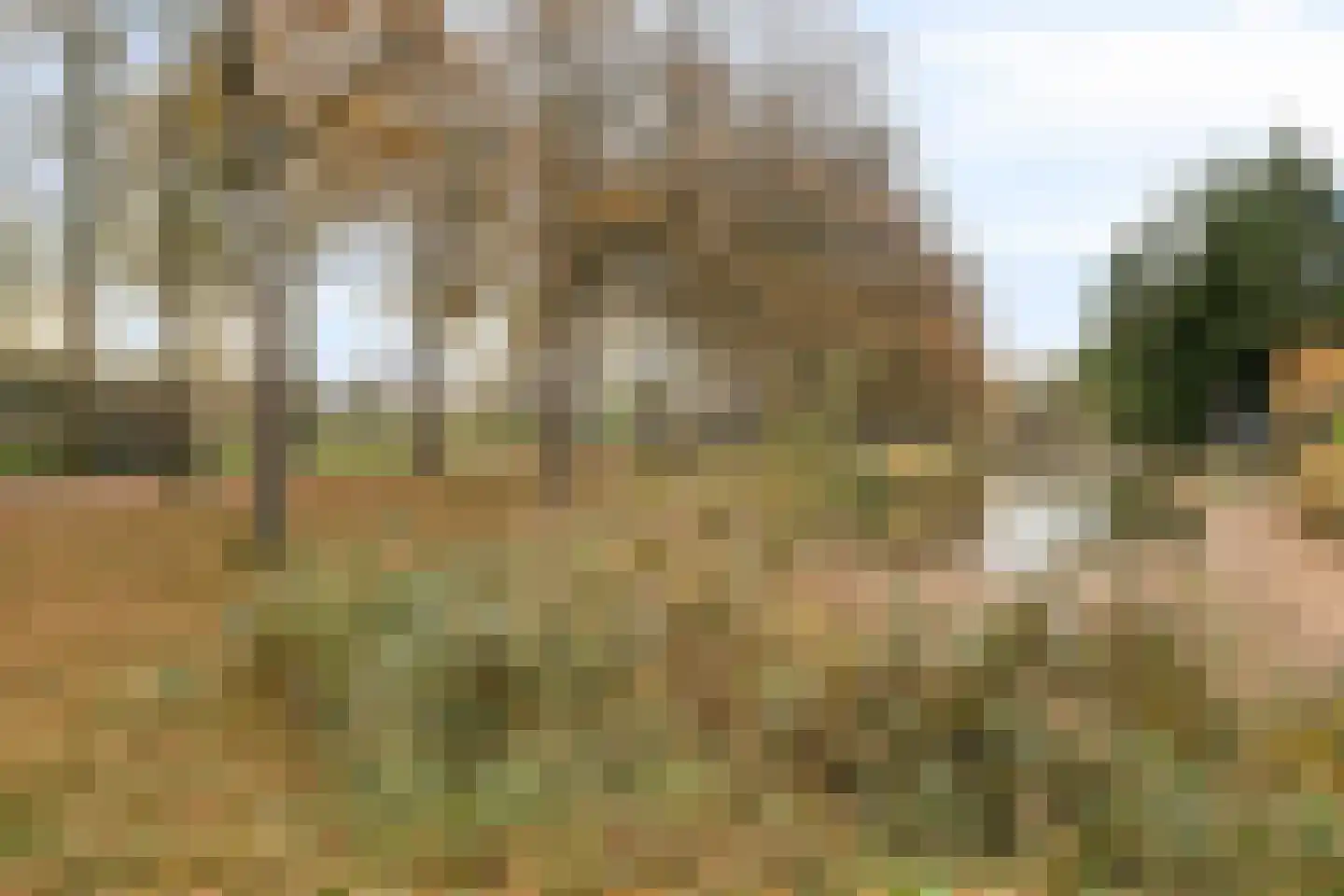 Beukenstraat 69 Goes thumbnail 40