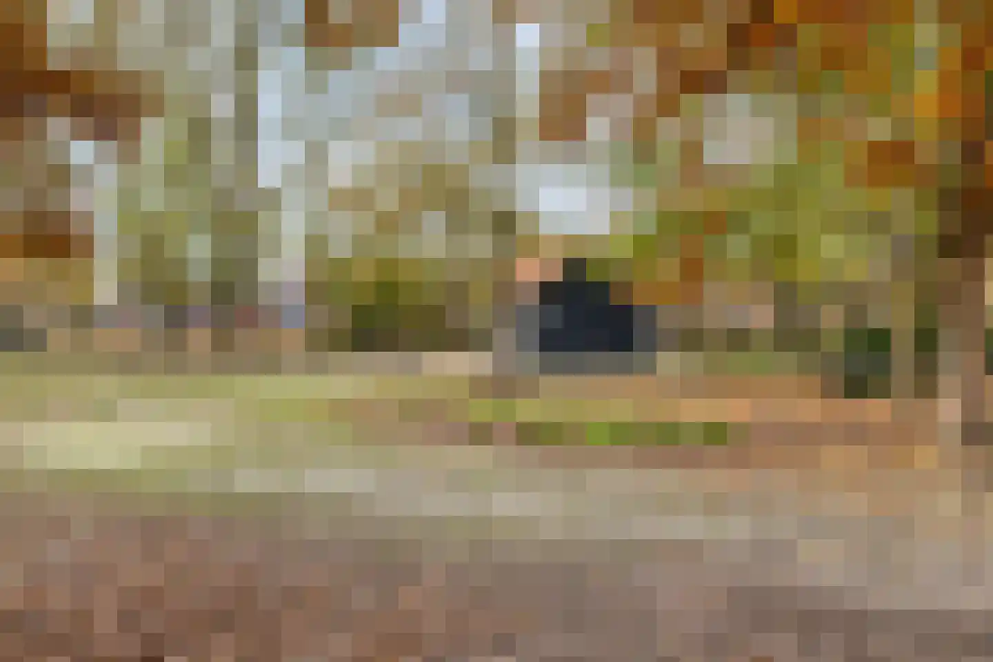 Beukenstraat 69 Goes thumbnail 41
