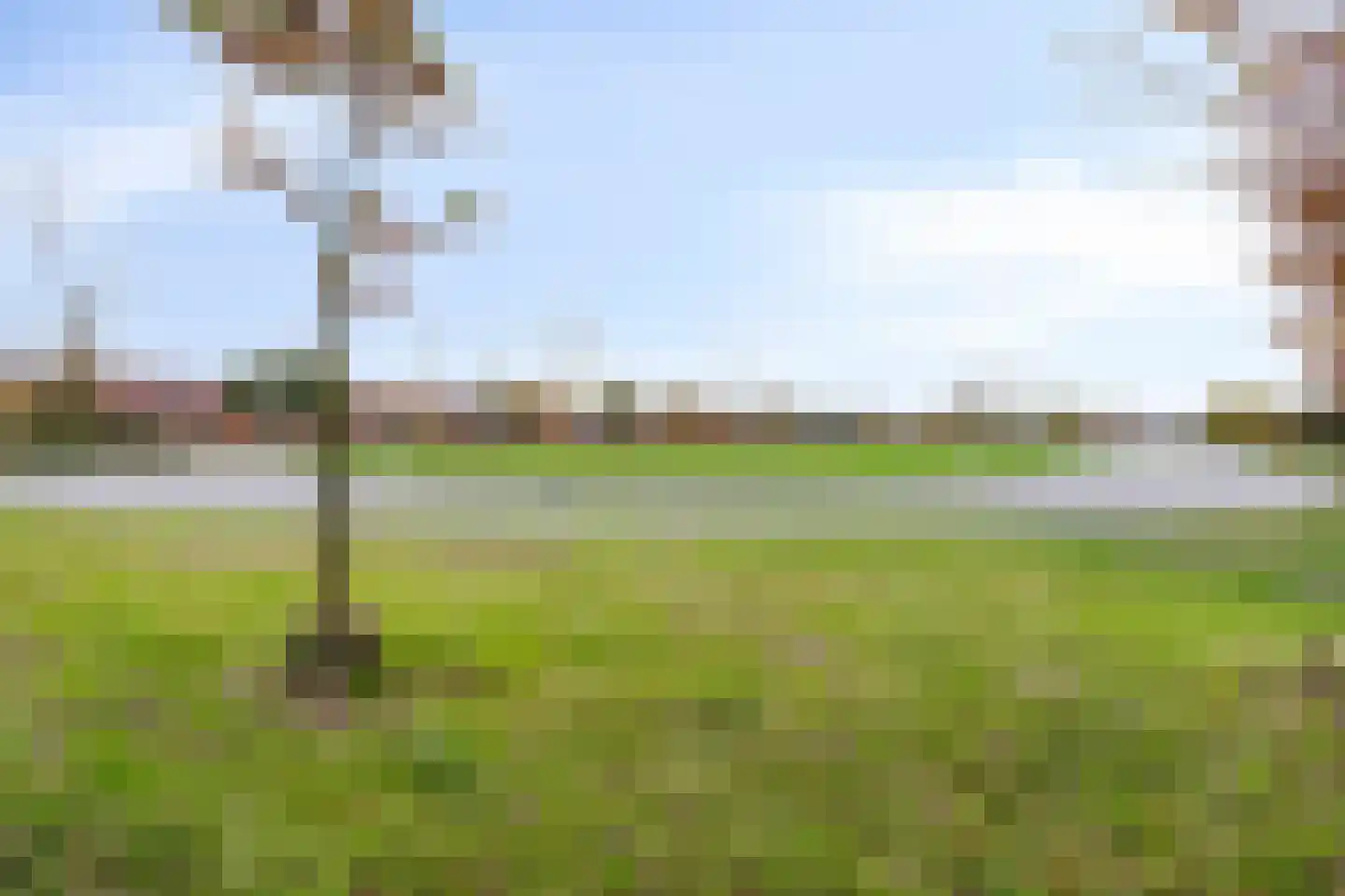 Beukenstraat 69 Goes thumbnail 42