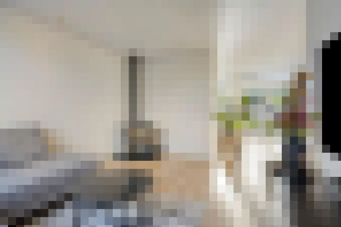 Beukenstraat 7 Brakel thumbnail 13