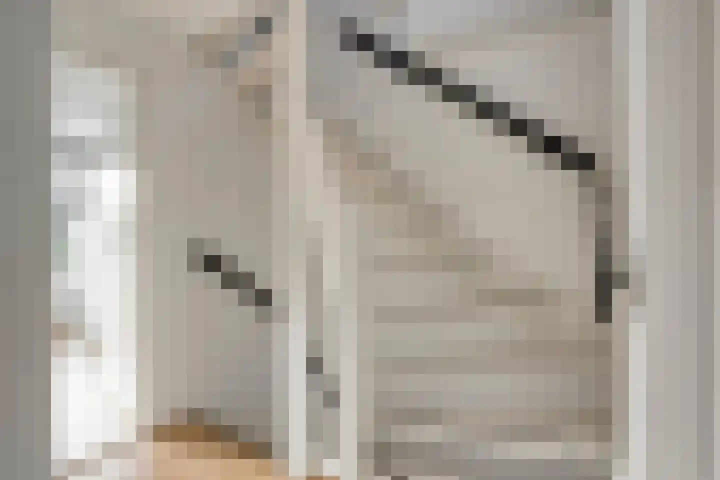 Beukenstraat 7 Brakel thumbnail 19