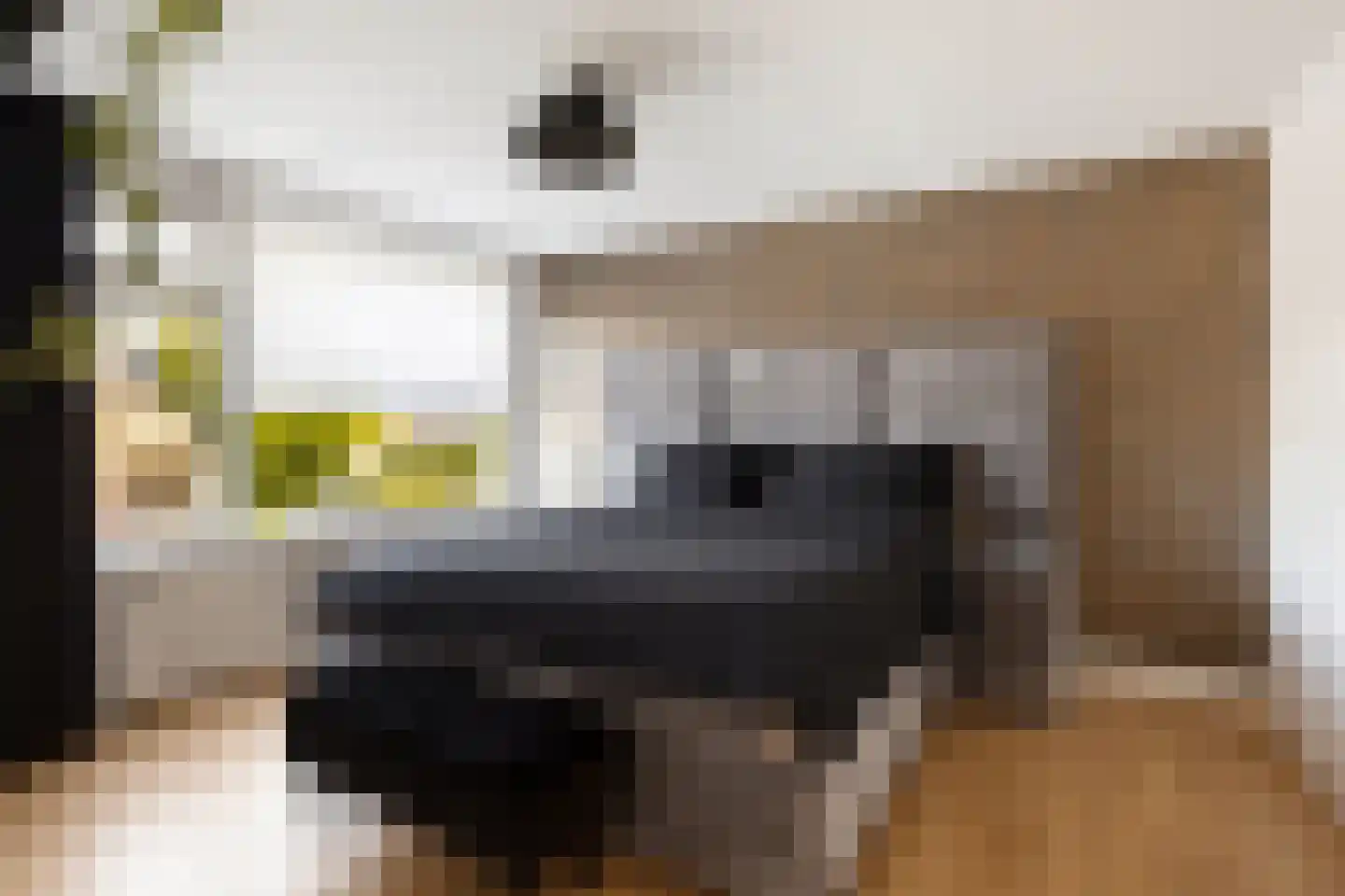 Beukenstraat 7 Brakel thumbnail 20