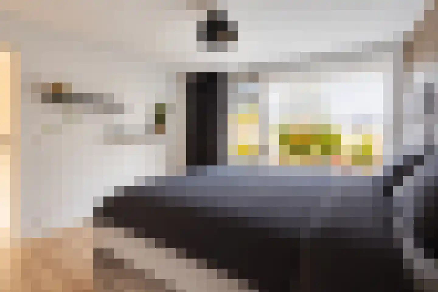 Beukenstraat 7 Brakel thumbnail 21