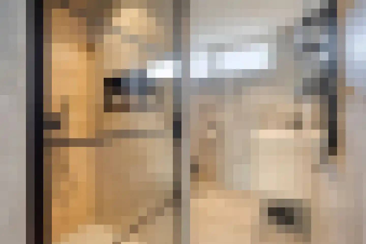Beukenstraat 7 Brakel thumbnail 22