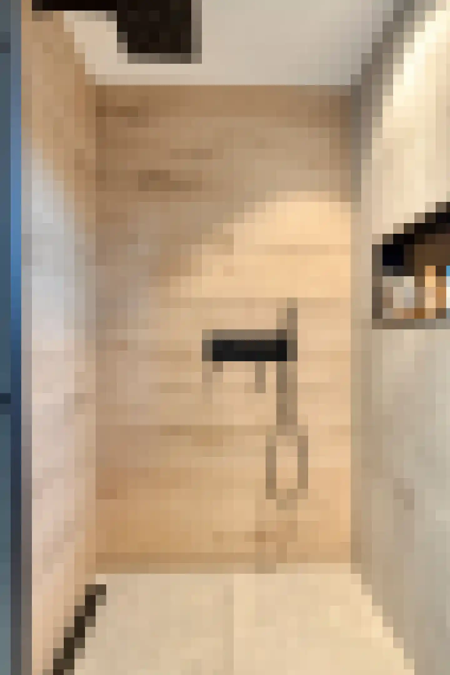 Beukenstraat 7 Brakel thumbnail 23