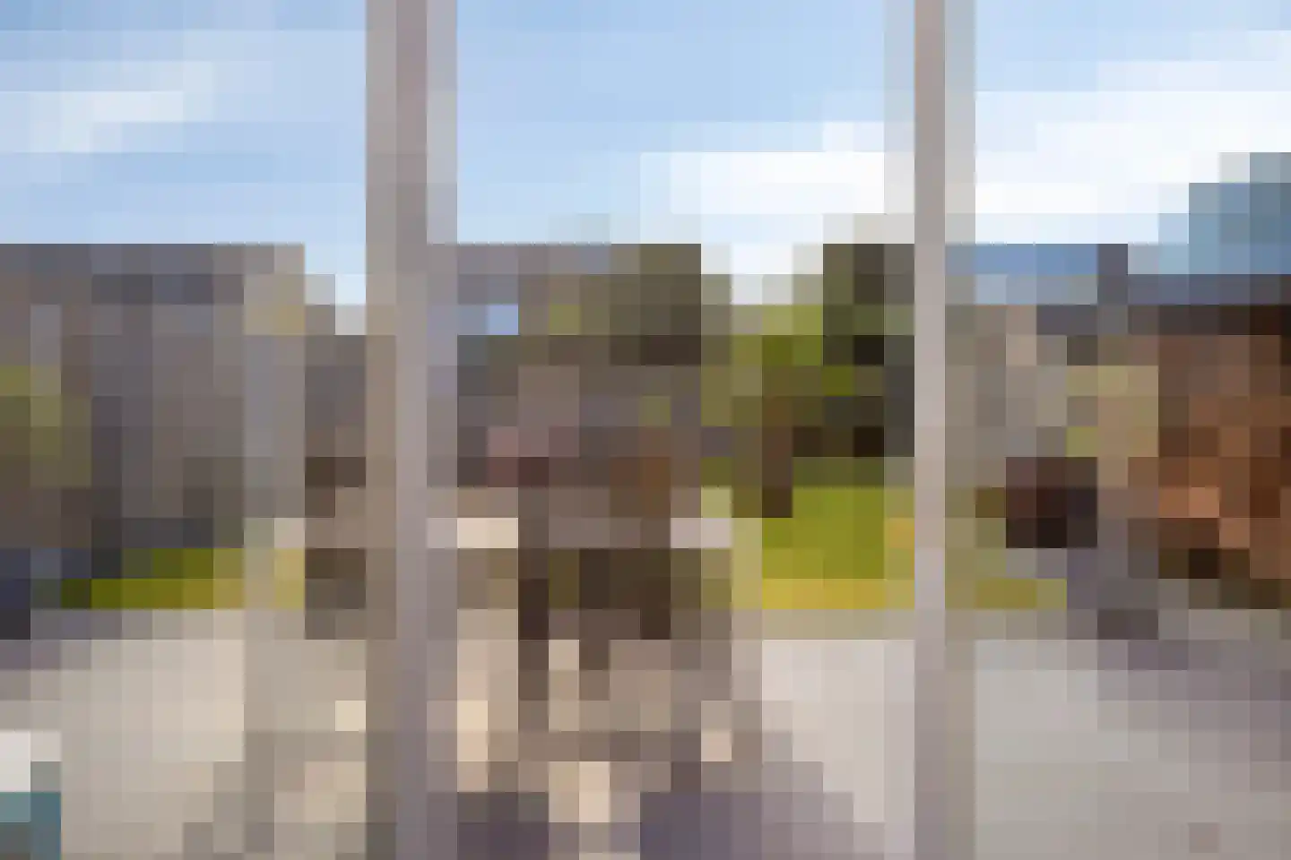 Beukenstraat 7 Brakel thumbnail 31