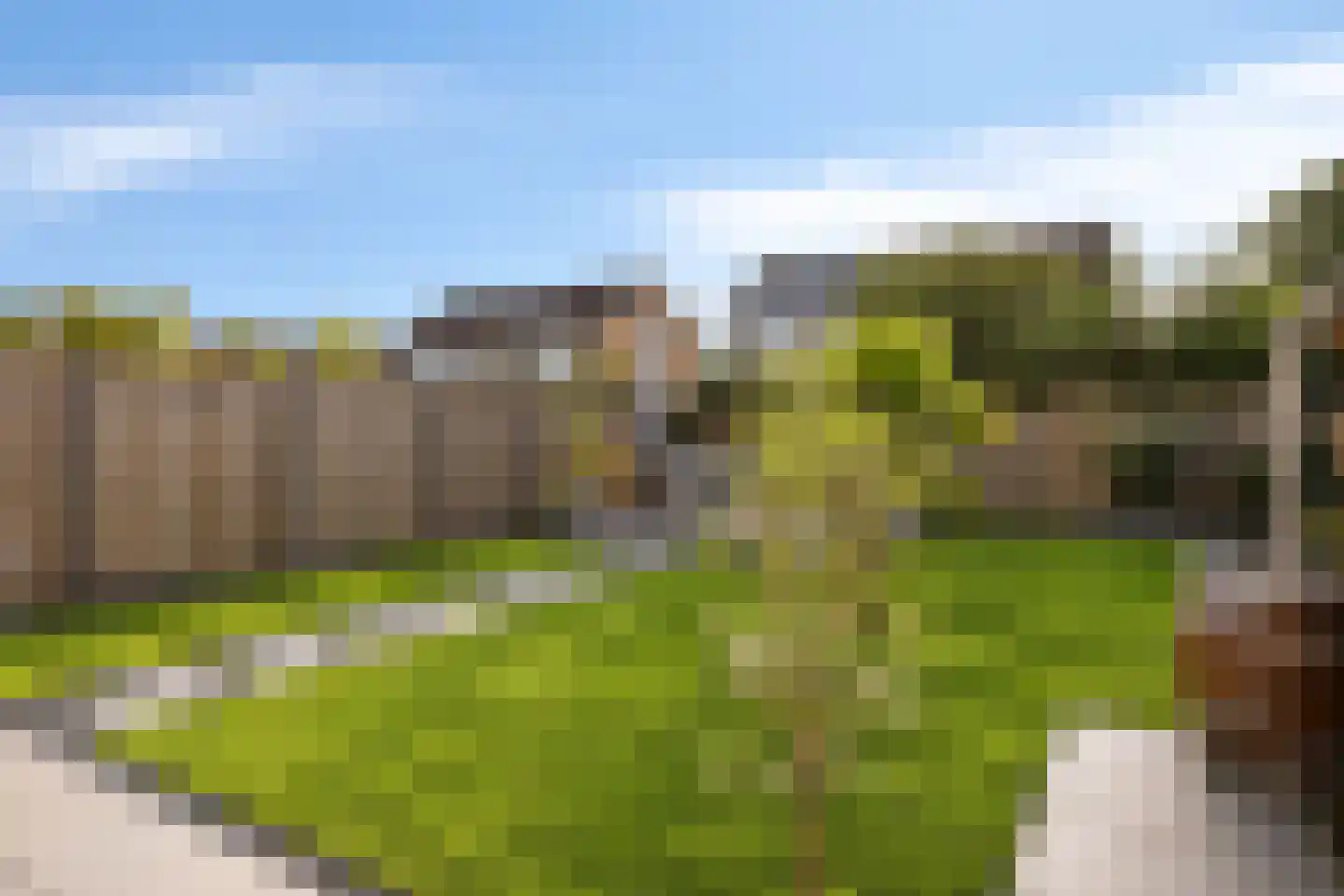 Beukenstraat 7 Brakel thumbnail 32