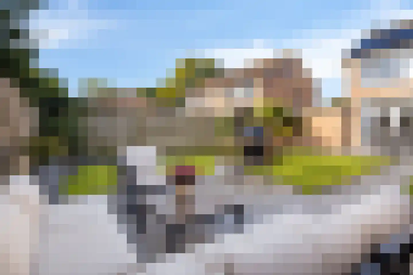 Beukenstraat 7 Brakel thumbnail 37