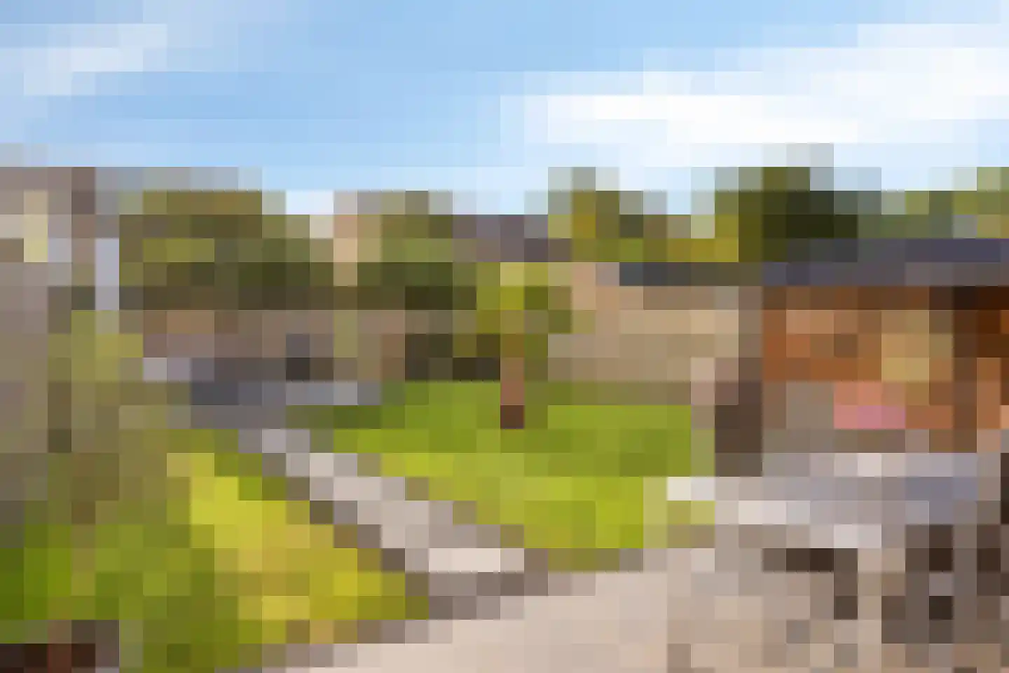 Beukenstraat 7 Brakel thumbnail 4