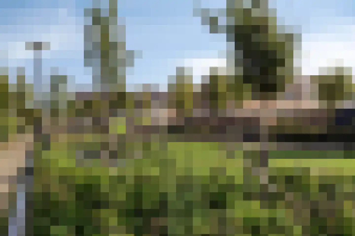Beukenstraat 7 Brakel thumbnail 41