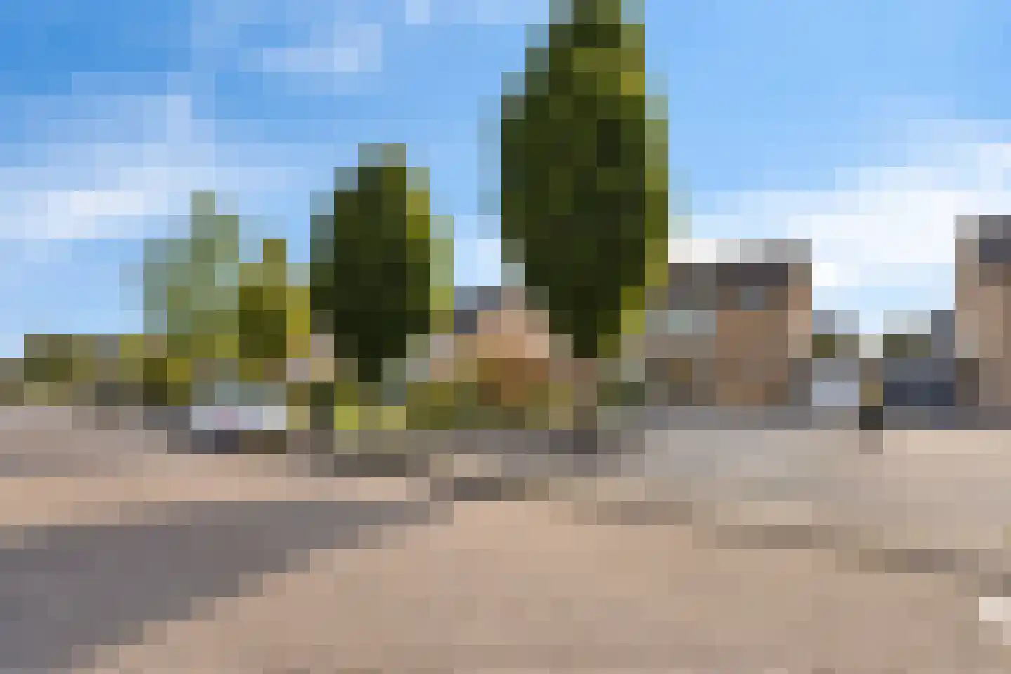 Beukenstraat 7 Brakel thumbnail 6