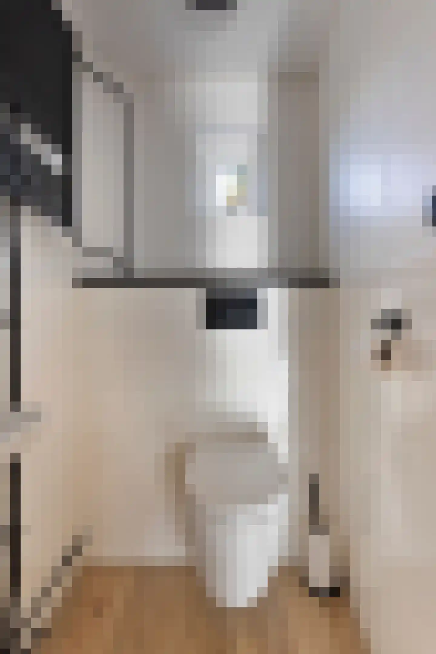 Beukenstraat 7 Brakel thumbnail 9