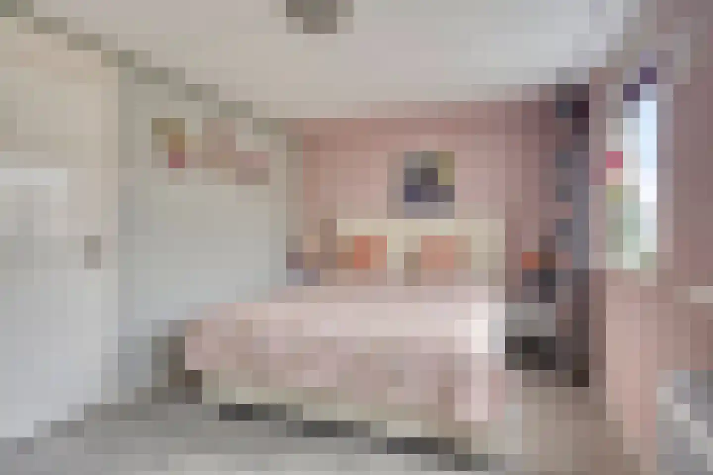 Beukenstraat 71 Goes thumbnail 16