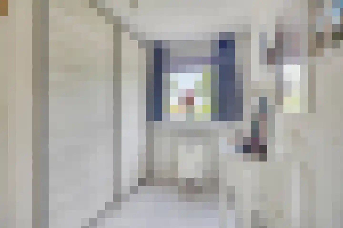 Beukenstraat 71 Goes thumbnail 19
