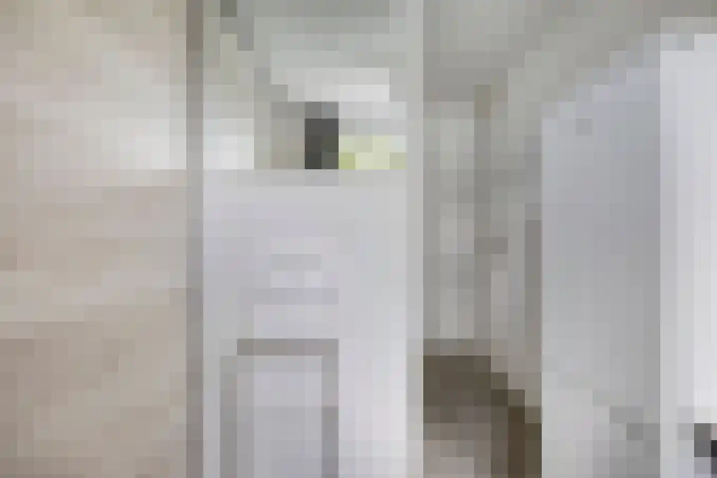 Beukenstraat 71 Goes thumbnail 21