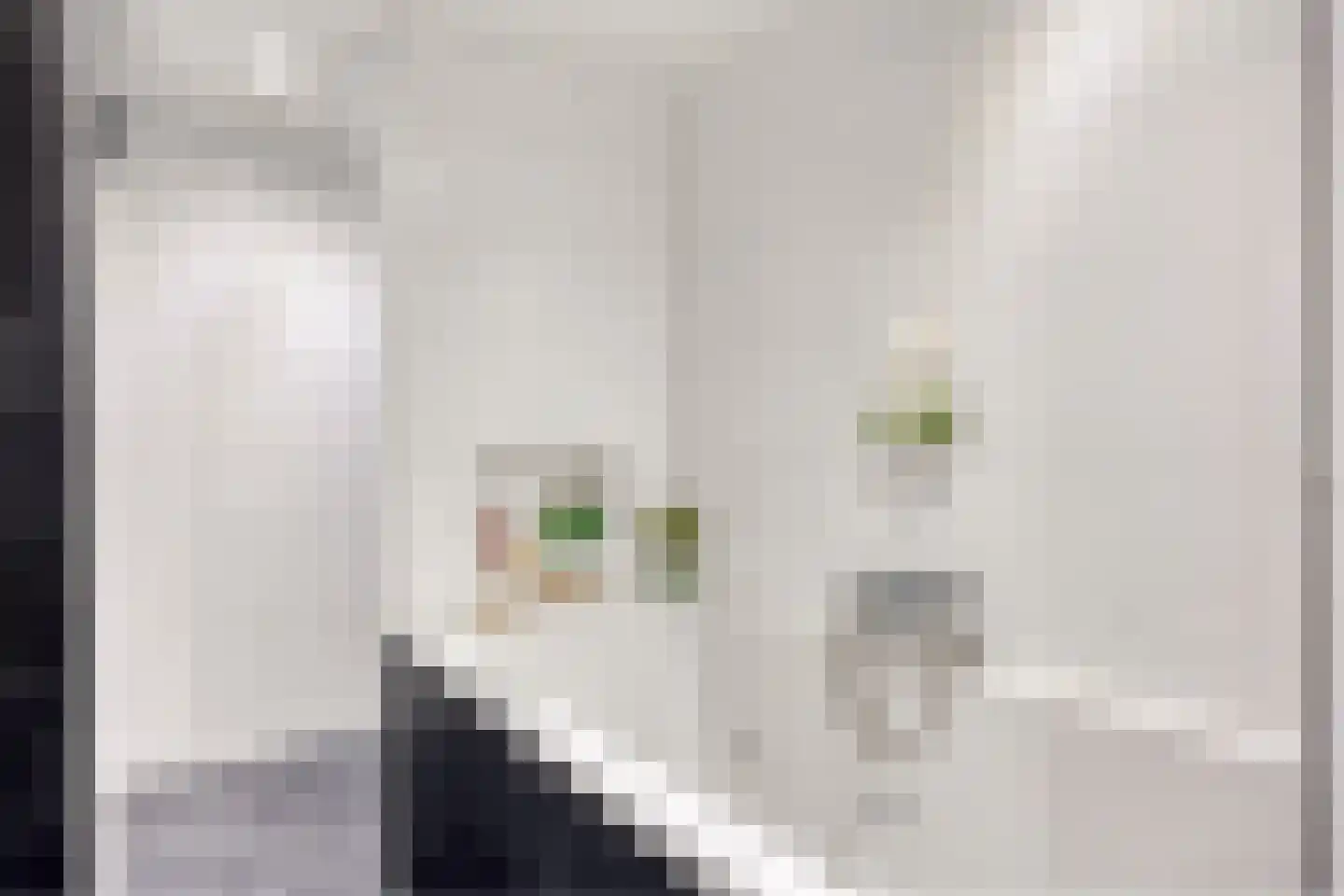 Beukenstraat 71 Goes thumbnail 25