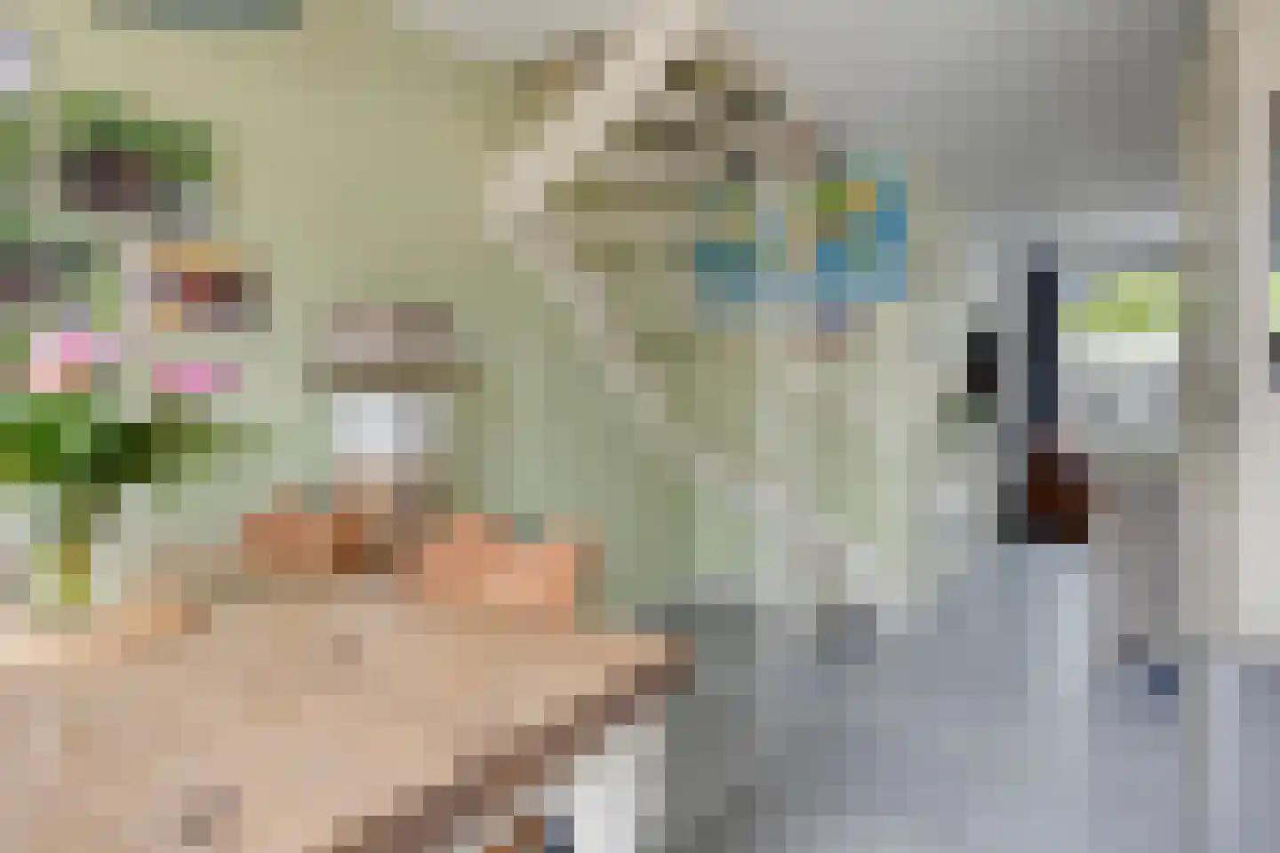Beukenstraat 71 Goes thumbnail 9