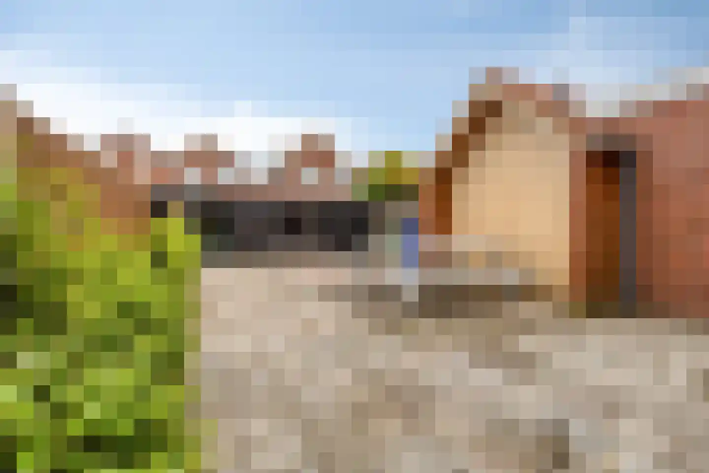 Beukenstraat 8 Sas van Gent thumbnail 22