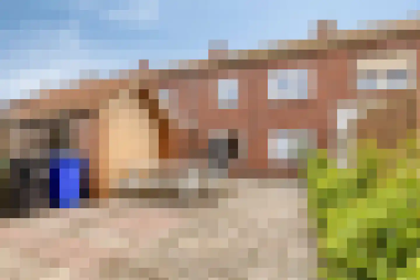 Beukenstraat 8 Sas van Gent thumbnail 23