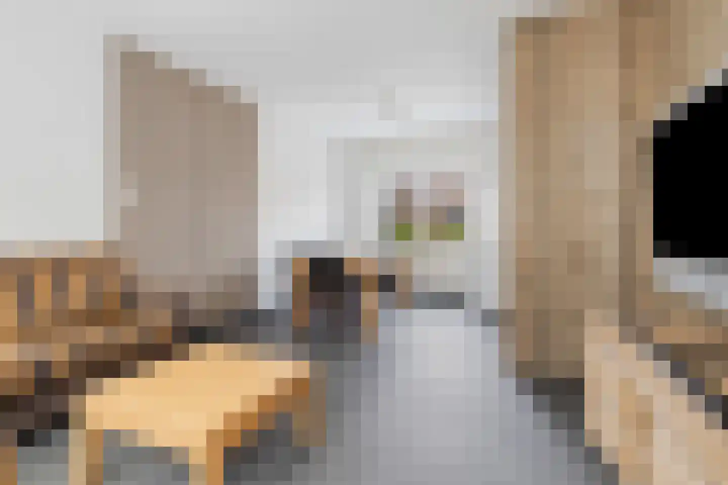Beukenstraat 8 Sas van Gent thumbnail 8