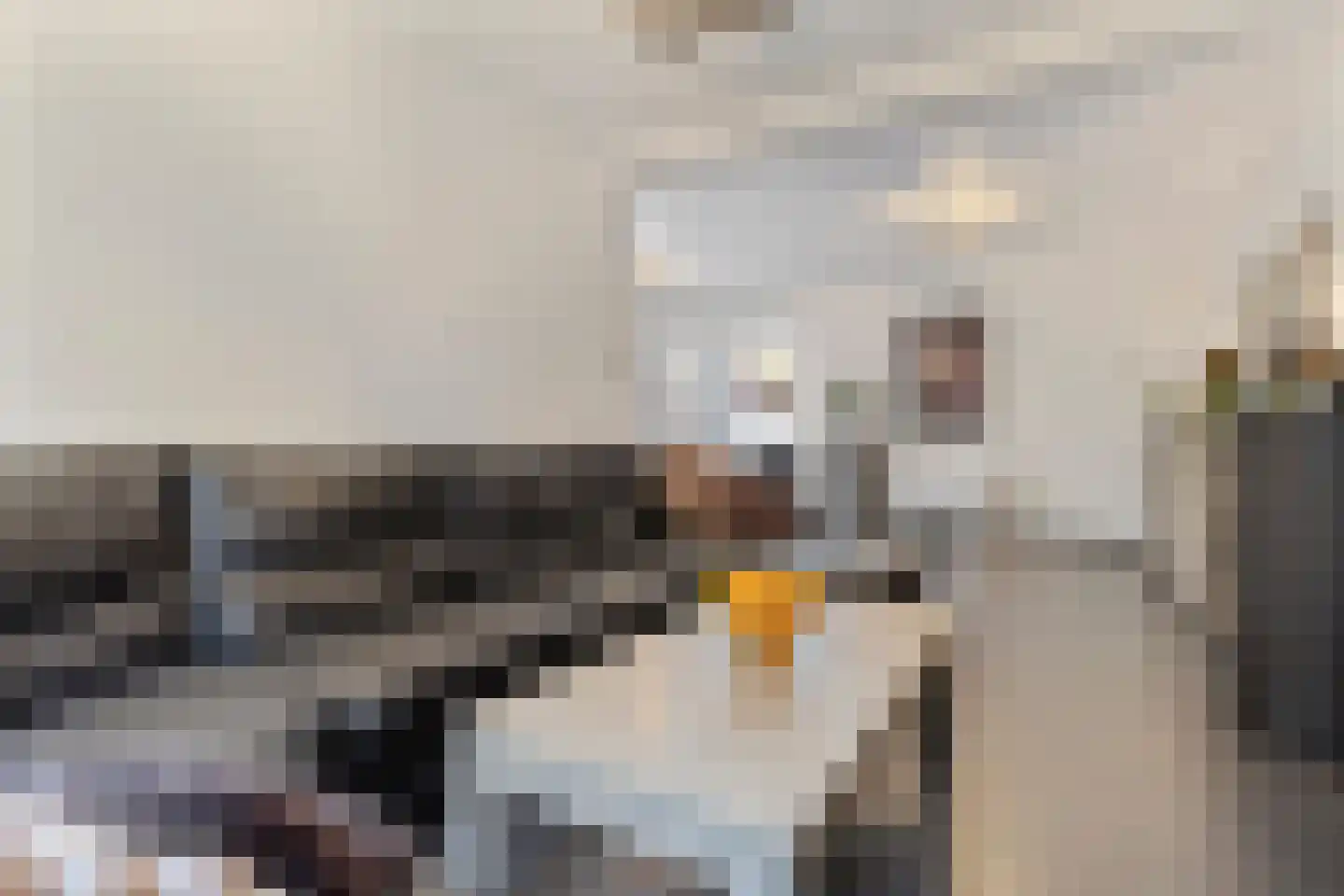 Beukenstraat 9 Maasbree thumbnail 14