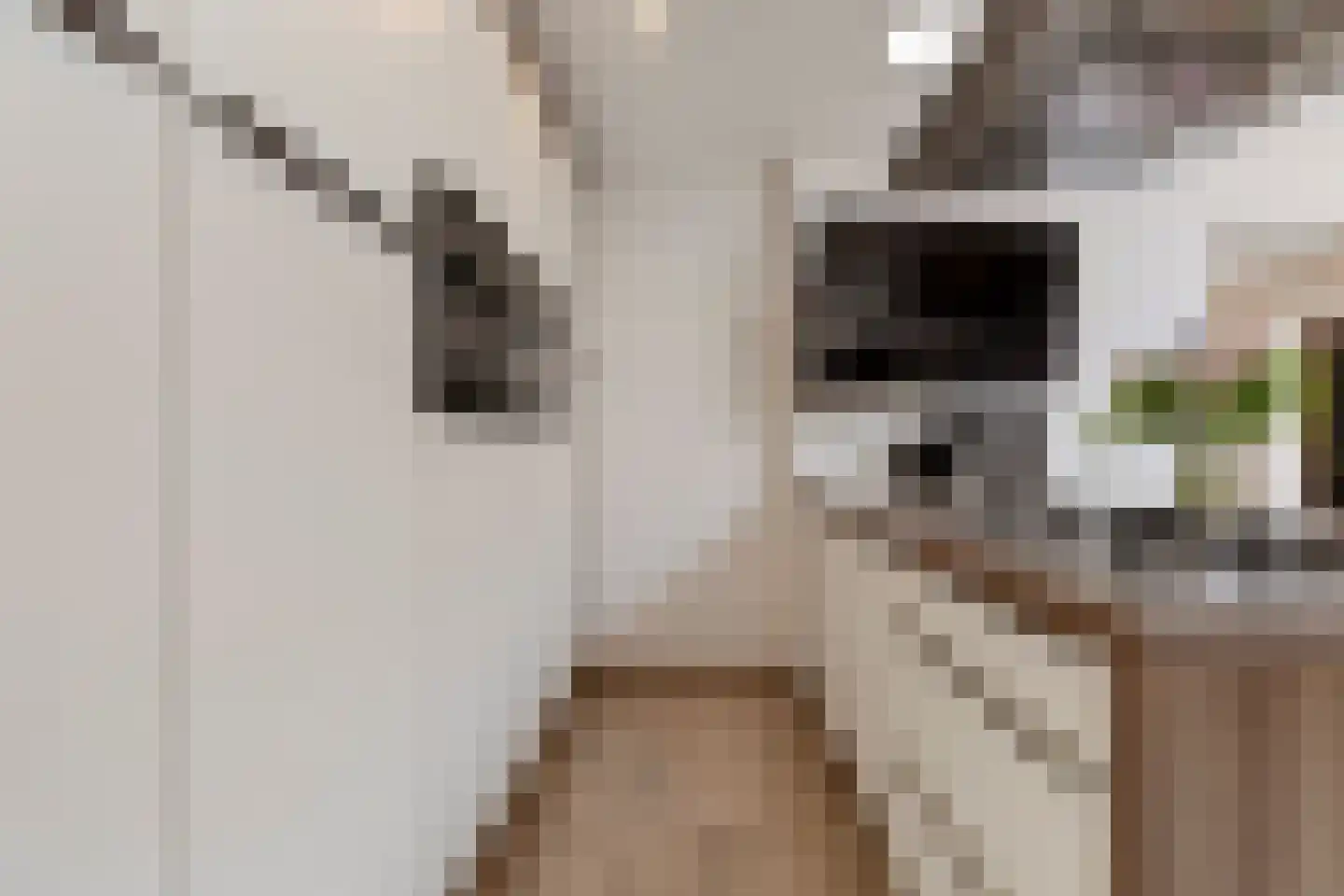 Beukenstraat 9 Maasbree thumbnail 21