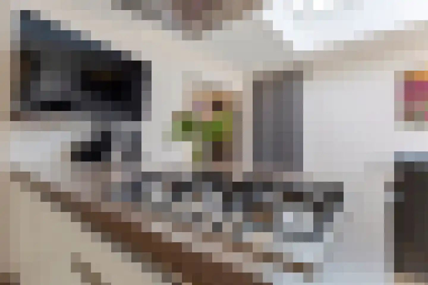 Beukenstraat 9 Maasbree thumbnail 22