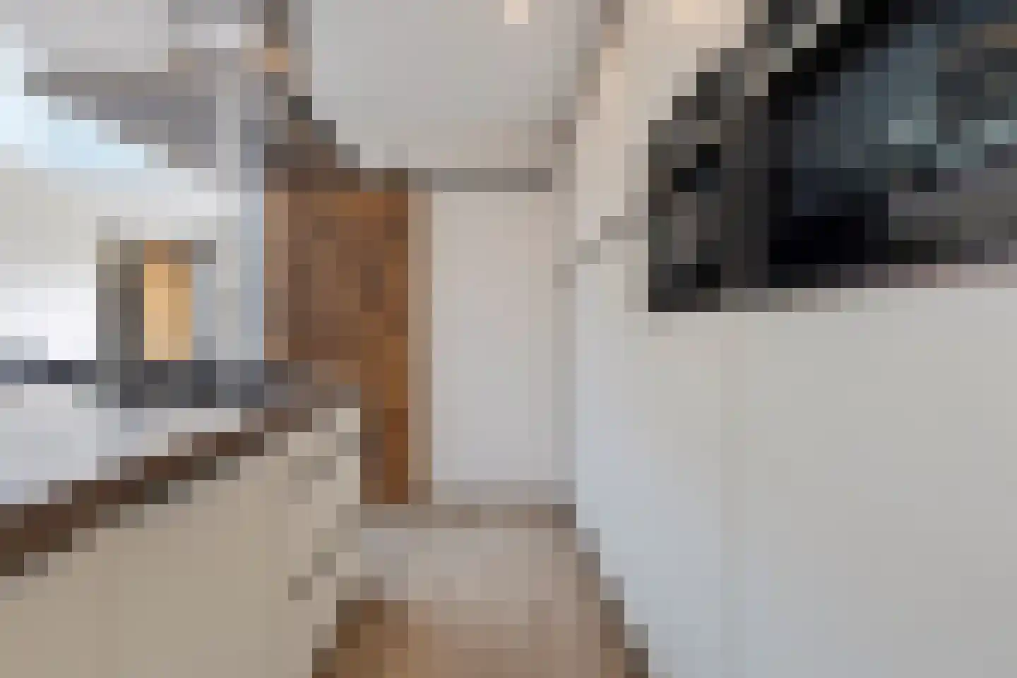 Beukenstraat 9 Maasbree thumbnail 23