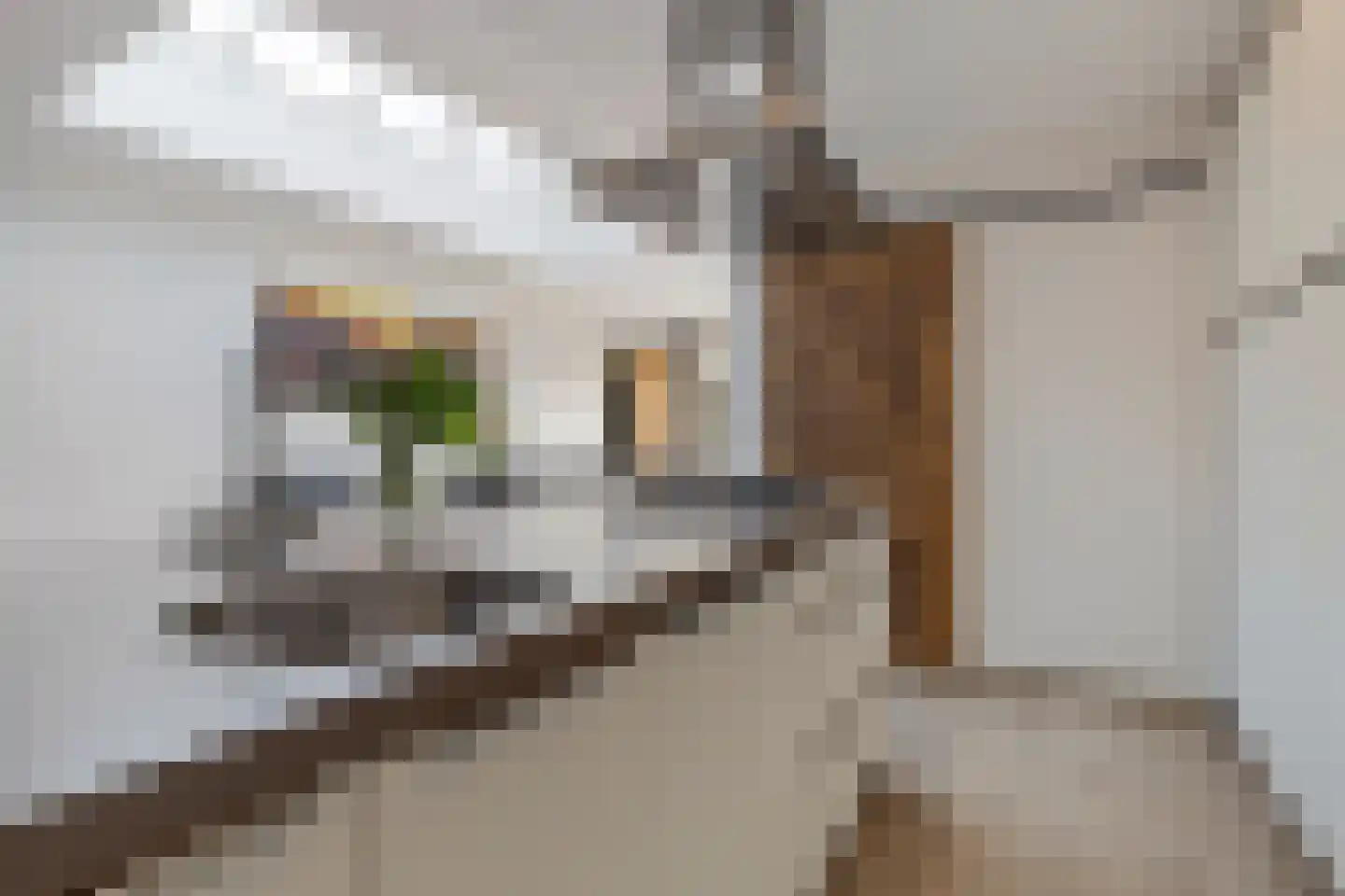 Beukenstraat 9 Maasbree thumbnail 24