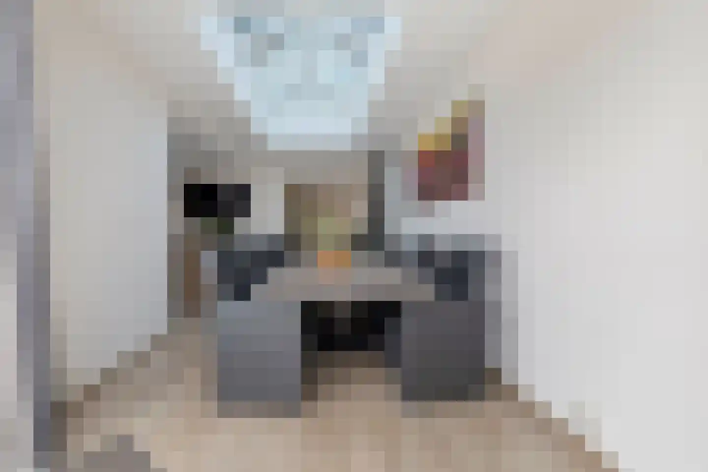Beukenstraat 9 Maasbree thumbnail 28